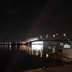 南港ヘチ釣行 （7/13 早朝雨降り前にヘチ釣行へ キビレチヌ、ガシラ 釣果有り）