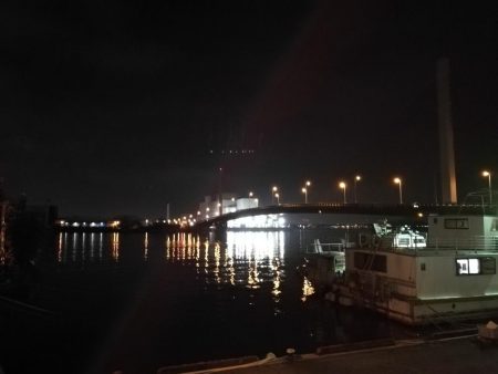 南港ヘチ釣行 （7/13 早朝雨降り前にヘチ釣行へ キビレチヌ、ガシラ 釣果有り）