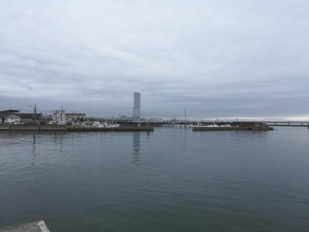 泉南方面、貝塚~泉佐野釣行 (相棒と久々のチョイ投げ釣りへ、キス、チャリコ、サバ釣果有り)