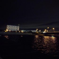 南港ヘチ釣行 （7/16 連休明け早朝 真チヌ48cm、キビレチヌ、ガシラ 釣果有り）