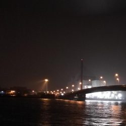 南港ヘチ釣行 （7/18 パラ雨の中の釣行 キビレチヌ44.5cm、ガシラ 釣果有り）