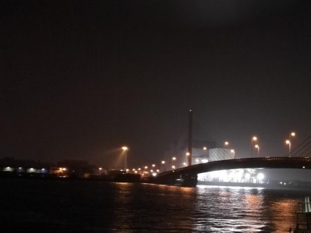 南港ヘチ釣行 （7/18 パラ雨の中の釣行 キビレチヌ44.5cm、ガシラ 釣果有り）