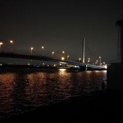 南港ヘチ釣行 （7/20 曇り空の南港釣行 キビレチヌ、ガシラ 釣果有り）