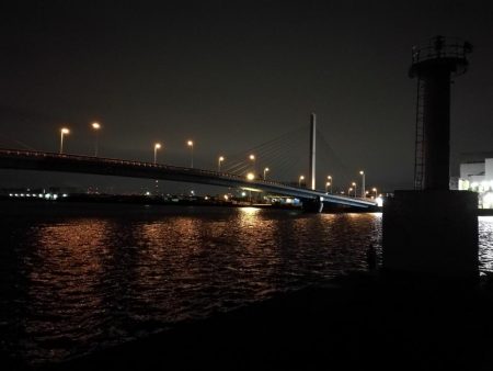 南港ヘチ釣行 （7/20 曇り空の南港釣行 キビレチヌ、ガシラ 釣果有り）