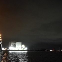 南港ヘチ釣行 （7/21 レア魚きた！！アコウ34cm、キビレ、ガシラ 釣果有り）