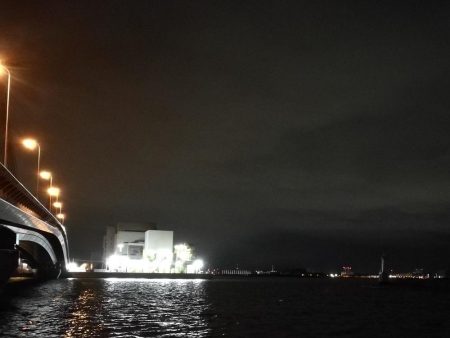 南港ヘチ釣行 （7/21 レア魚きた！！アコウ34cm、キビレ、ガシラ 釣果有り）