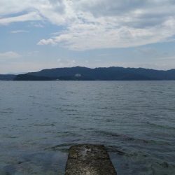 キス釣り　サイズがイマイチ