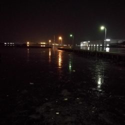 南港ヘチ釣行 (7/30 まだまだ浮遊ゴミの多い南港ヘチ。。キビレチヌ33cm、黒メバル21cm、ガシラ 釣果有り)