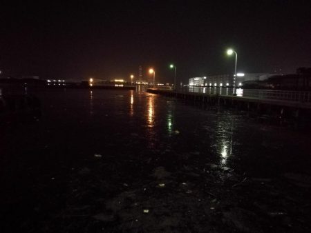 南港ヘチ釣行 (7/30 まだまだ浮遊ゴミの多い南港ヘチ。。キビレチヌ33cm、黒メバル21cm、ガシラ 釣果有り)