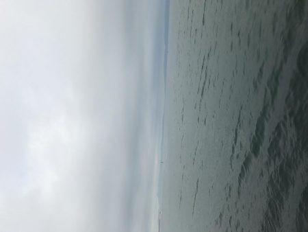 まさかのアコウ