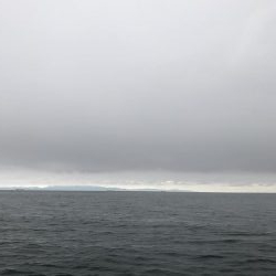 夏が近づいてきた