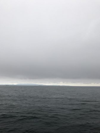 夏が近づいてきた