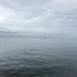 ライトショアジギング3目