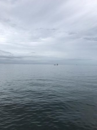 ライトショアジギング3目