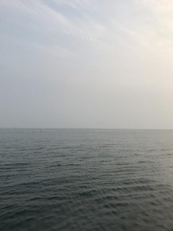 夏のライトショアジギング