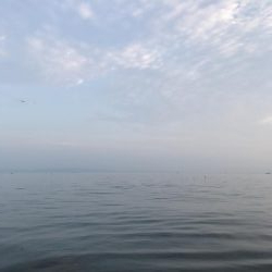 夏のライトショアジギング2