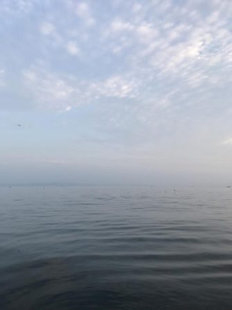 夏のライトショアジギング2