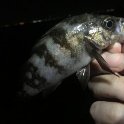 そろそろ終わりにしましょうか？