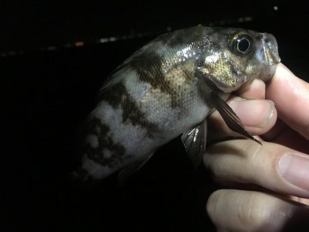 そろそろ終わりにしましょうか？