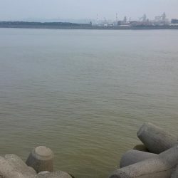 この場を借りて･･･