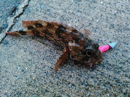 浜名湖 ライトゲーム