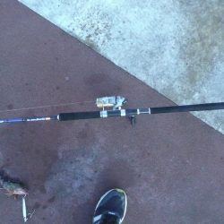 楽しい釣行でした