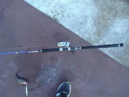 楽しい釣行でした