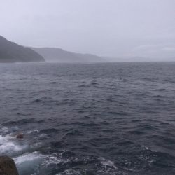 ヤズのちペンペン