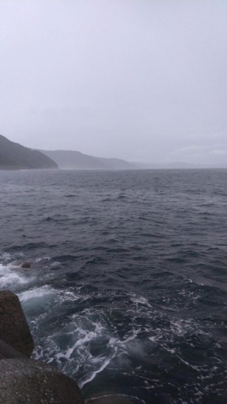 ヤズのちペンペン