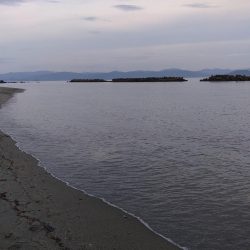 チョイ投げでシロギス