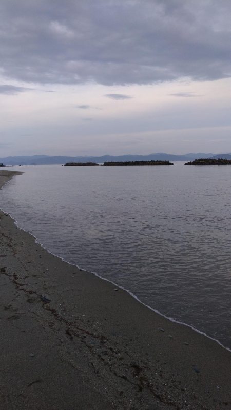 チョイ投げでシロギス