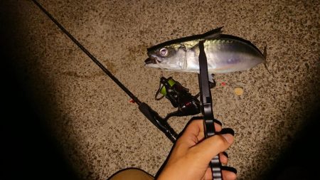 アジングからのサバゲー。