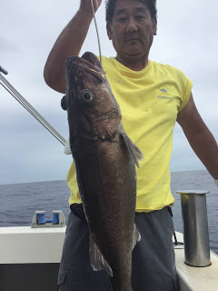 凪紗丸 釣果
