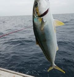 松福丸 釣果