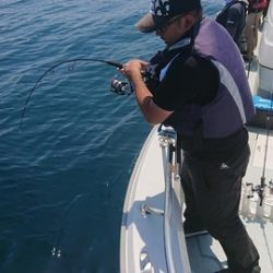 スカイマリン 釣果