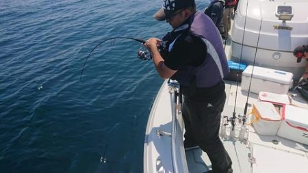 スカイマリン 釣果