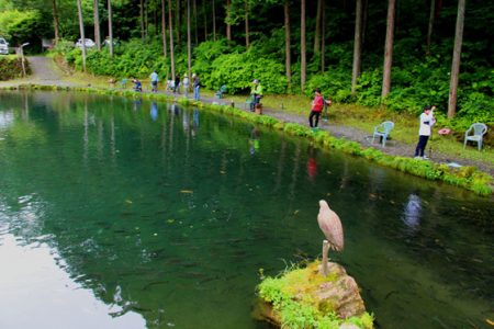 小菅トラウトガーデン 釣果