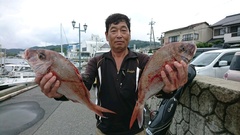 まこと渡船 釣果