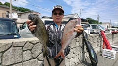 まこと渡船 釣果