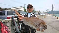 まこと渡船 釣果