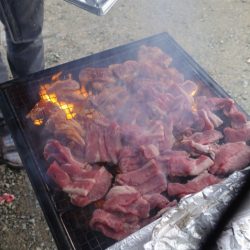 フィッシングレイクたかみや 釣果