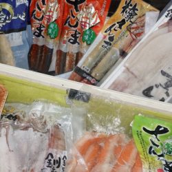 フィッシングレイクたかみや 釣果