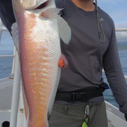 遊漁船 新鋭丸 釣果