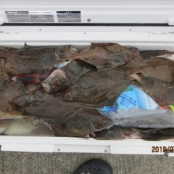 大進丸(新潟) 釣果