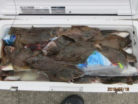 大進丸(新潟) 釣果