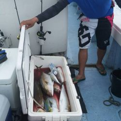 第五慶門丸 釣果