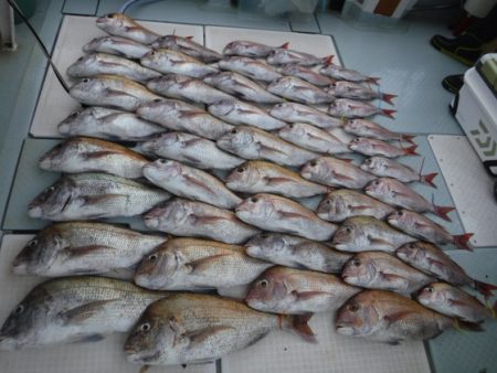 遊漁船 幸友丸 釣果