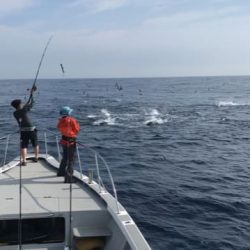へいみつ丸 釣果