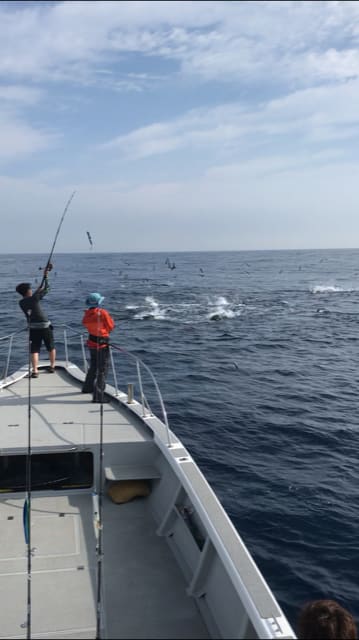 へいみつ丸 釣果