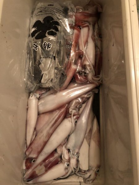 イカメタル大会2日連続【モコ氏連載 vol.7】